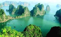 Travel To Vietnam